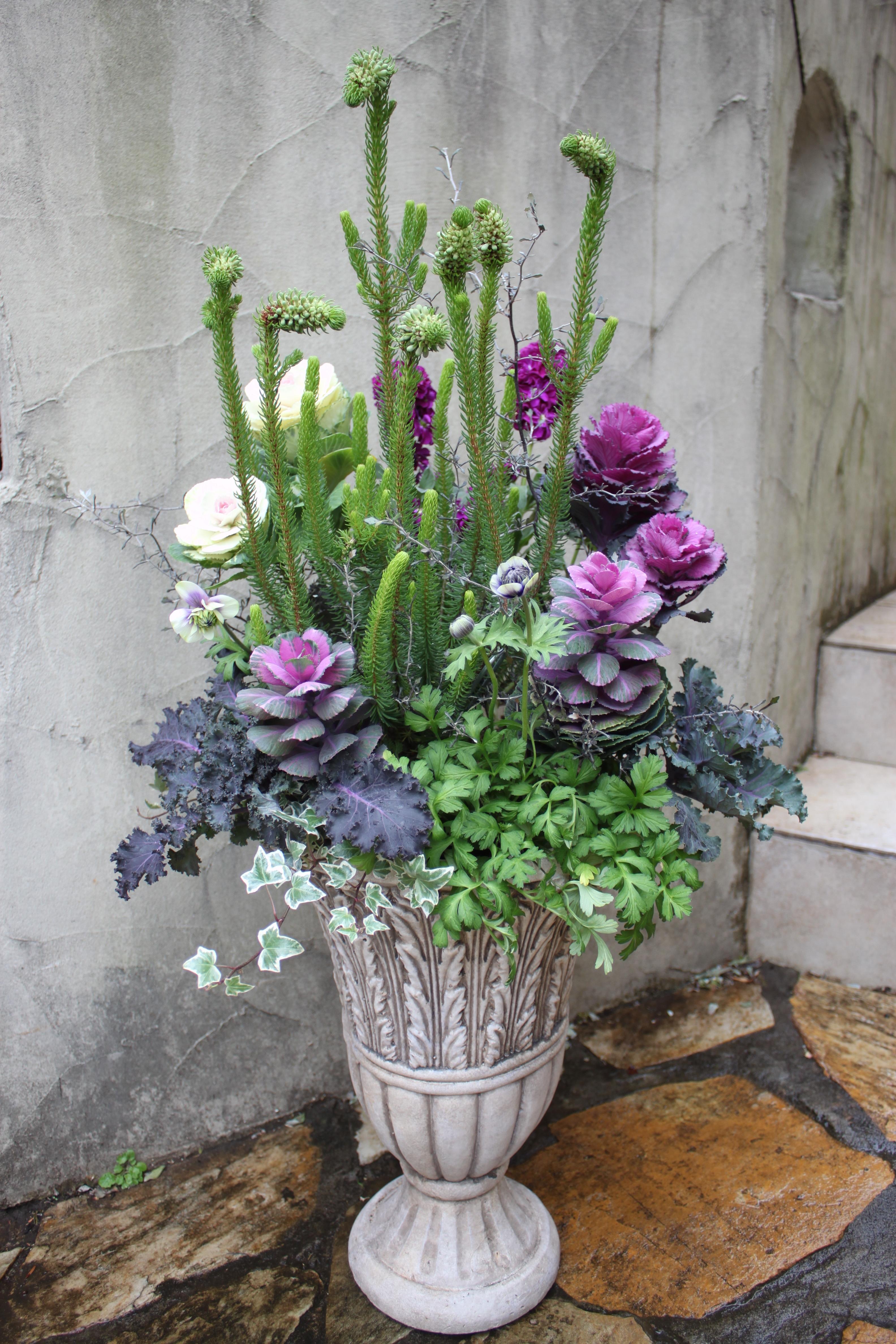 冬花材で ようこそ の寄せ植え テストブログ