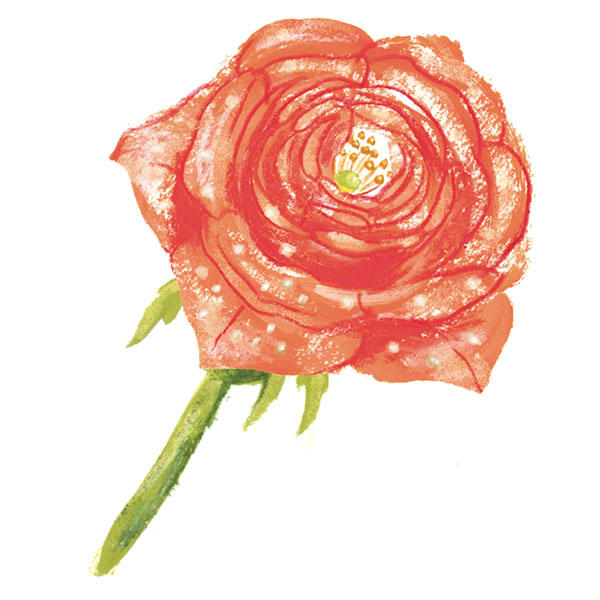 rose003_006.jpg