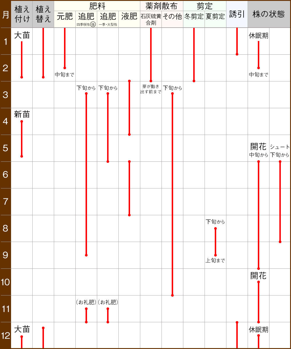 バラ栽培の12ヶ月カレンダー バラの育て方 栽培管理 はじめてのバラ