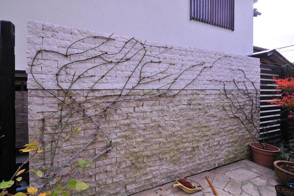 DSC_3619.jpg