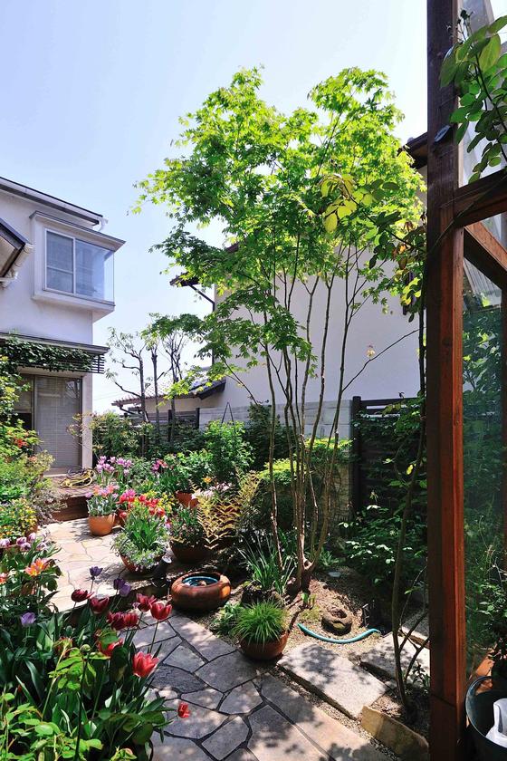 業界No.1 日陰や狭い場所での小さな庭づくり = Shade Small Garden 