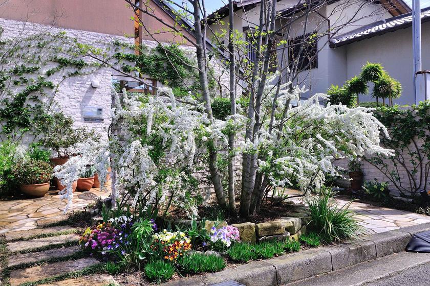 庭に彩りを添える 花咲く低木 風景 をつくるガーデニング術