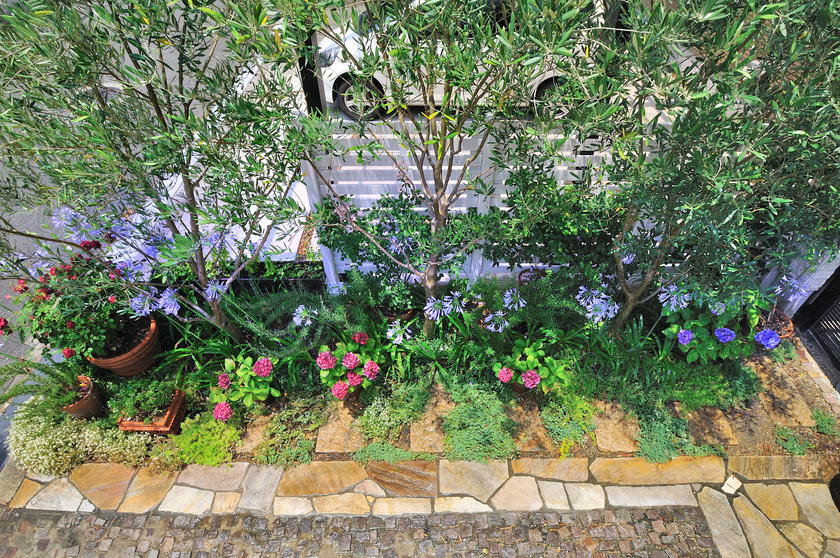 青い花の咲く 我が家のオススメの宿根草 風景 をつくるガーデニング術