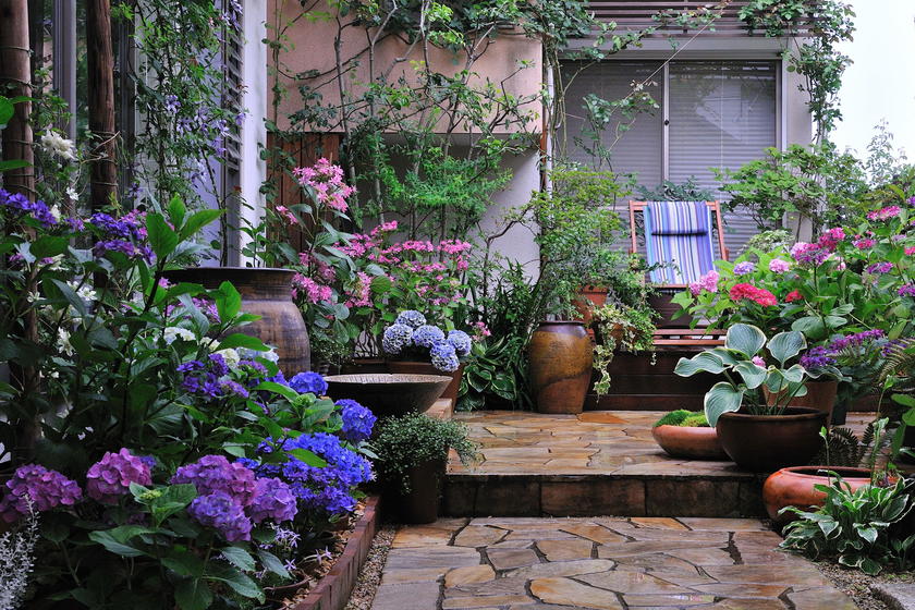 我が家の紫陽花ガーデン 風景 をつくるガーデニング術