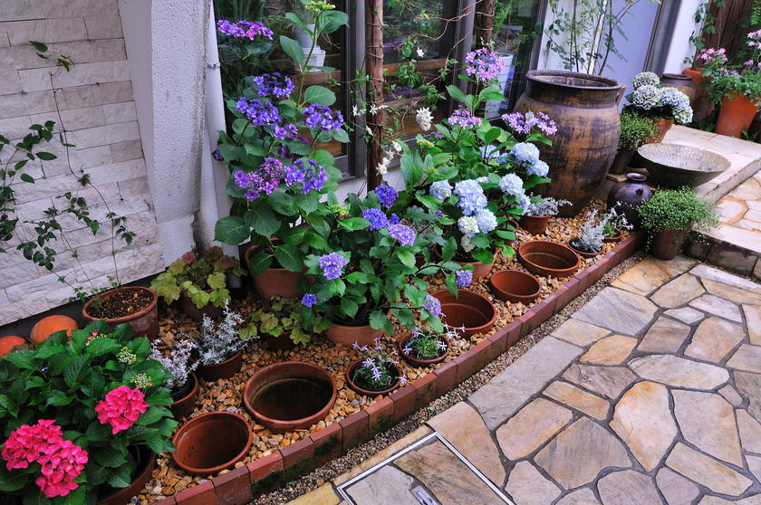 我が家の紫陽花ガーデン 風景 をつくるガーデニング術