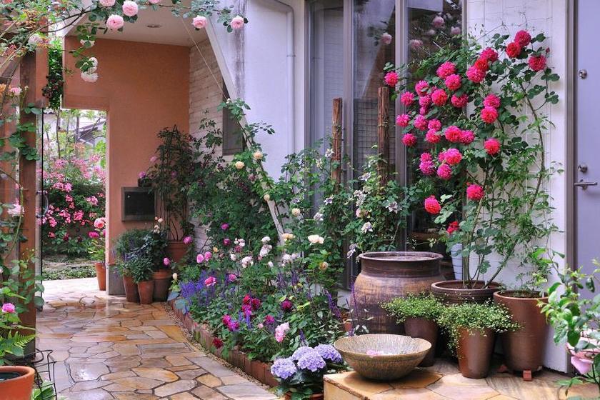ランウェイスタイル花壇 鉢の入れ替え方式でつくる花壇 の作り方 風景 をつくるガーデニング術