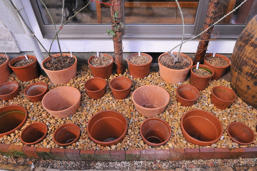 ランウェイスタイル花壇 鉢の入れ替え方式でつくる花壇 の作り方 風景 をつくるガーデニング術