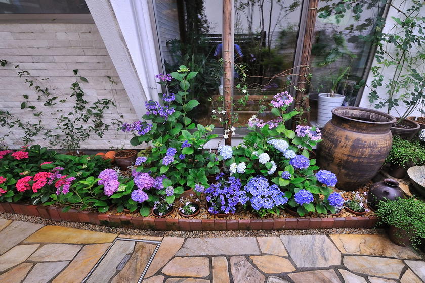 ランウェイスタイル花壇（鉢の入れ替え方式でつくる花壇）」の作り方 - 「風景」をつくるガーデニング術