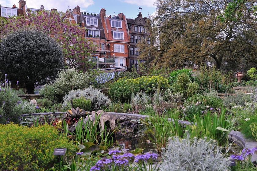 イギリスで訪ねた庭レポート Vol 2 チェルシー薬草園編 風景 をつくるガーデニング術