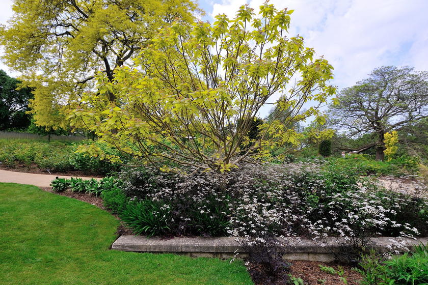 通販激安 要問せ♥️英国ガーデン風♥️フレンチ風　アーチ　ガーデニング　庭園　ディスプレイ フラワー/ガーデン
