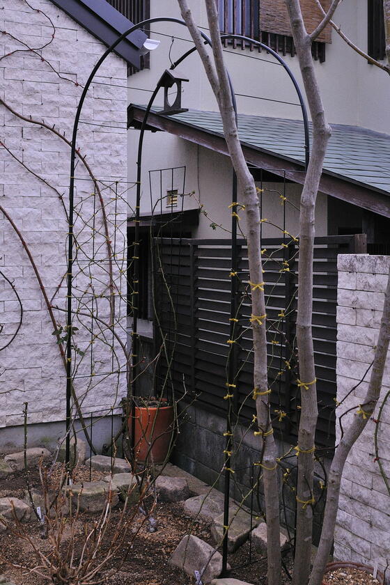 つるバラの庭に便利なガーデングッズを使ってみて - 「風景」をつくるガーデニング術