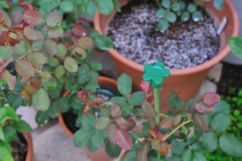 人工竹 プラ竹巻き ガーデニング ジャンク品 庭飾り 花壇プランター隠し 高さ33 5 うのにもお得な 庭飾り 人工竹 プラ竹巻き ガーデニング ジャンク品 庭飾り 花壇プランター隠し 高さ33 5 うのにもお得な 庭飾り