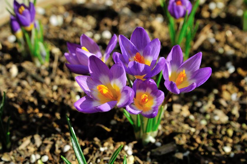 DSC_7495.jpg