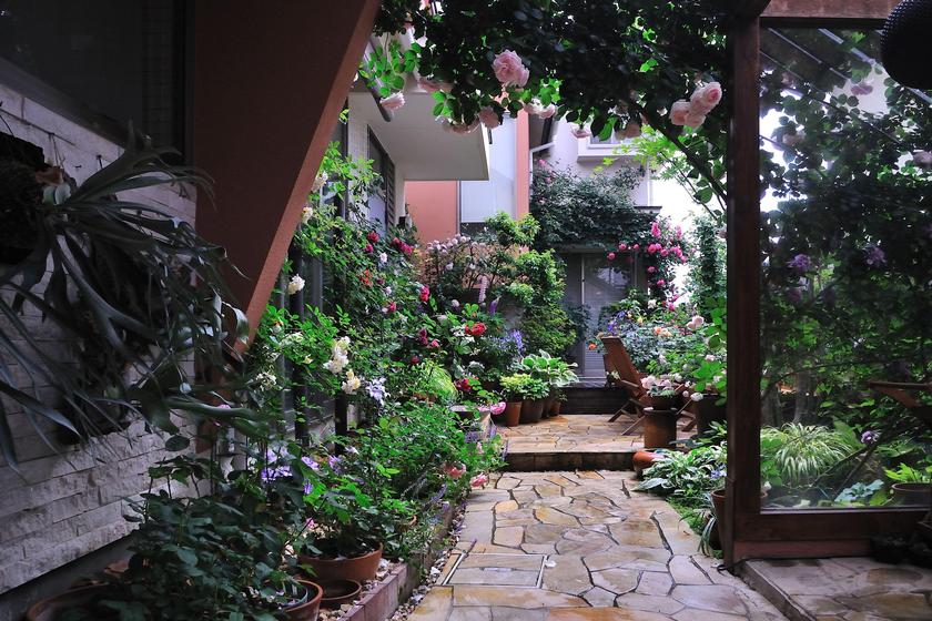 19583円 国内送料無料 庭の装飾 庭の装飾中庭の創造的なチェロの植木鉢の屋外の風景バルコニーの装飾レトロな家の装飾 家の装飾