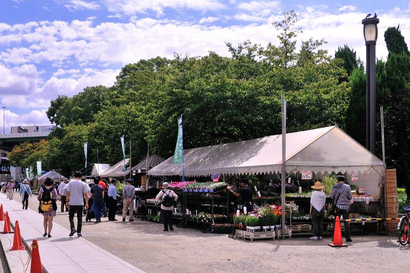 秋の植木市へ出かけよう 風景 をつくるガーデニング術