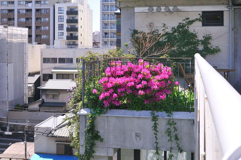 DSC_2281.jpg