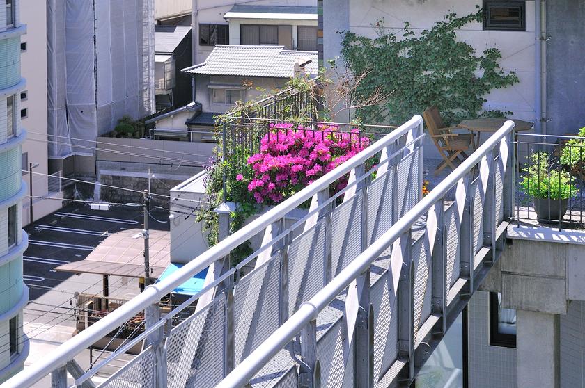 DSC_2290.jpg