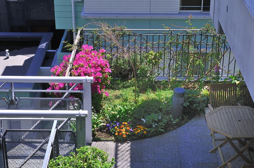 DSC_2296.jpg