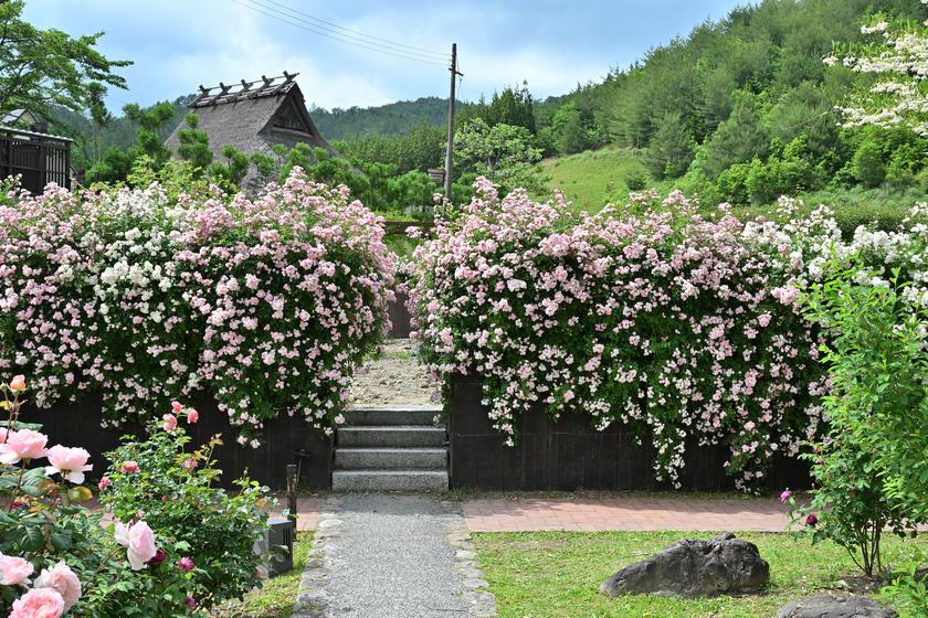 DSC_0636.JPG
