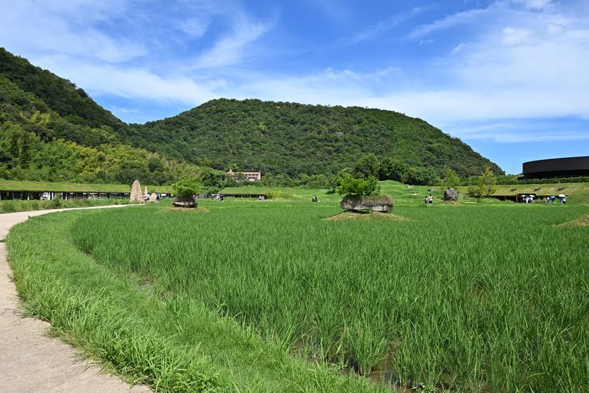DSC_0720.JPG