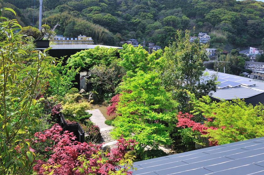 DSC_1799.jpg