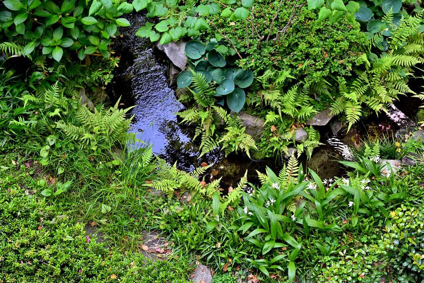 DSC_6253.JPG