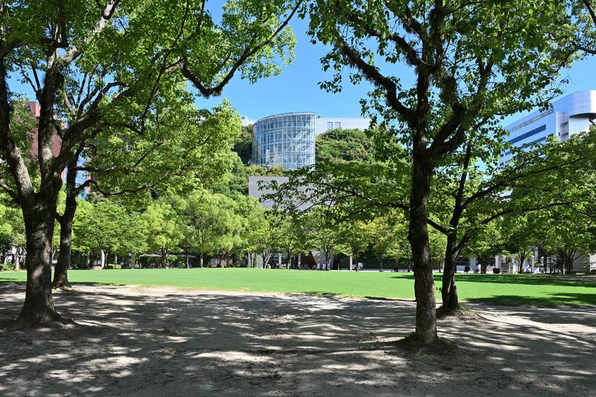 DSC_7655.JPG