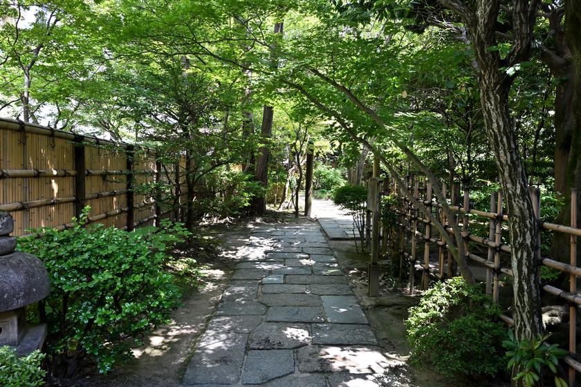 DSC_7438.JPG