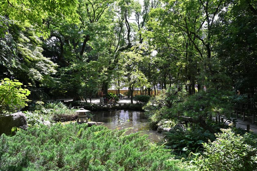 DSC_7444.JPG