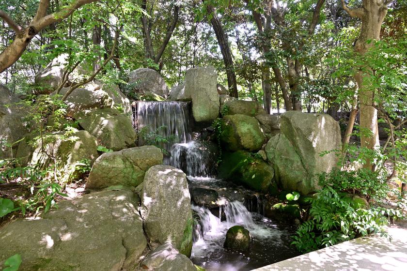 DSC_7458.JPG