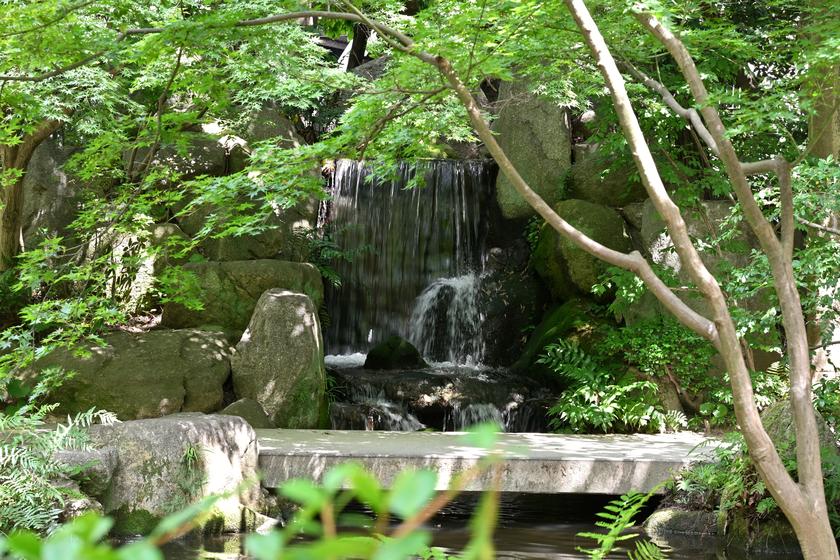 DSC_7468.JPG