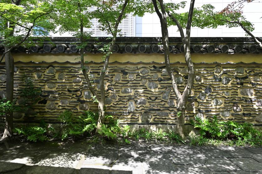 DSC_7484.JPG