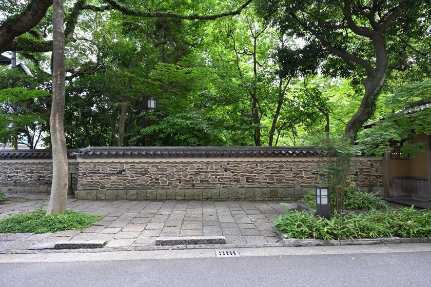 DSC_7497.JPG
