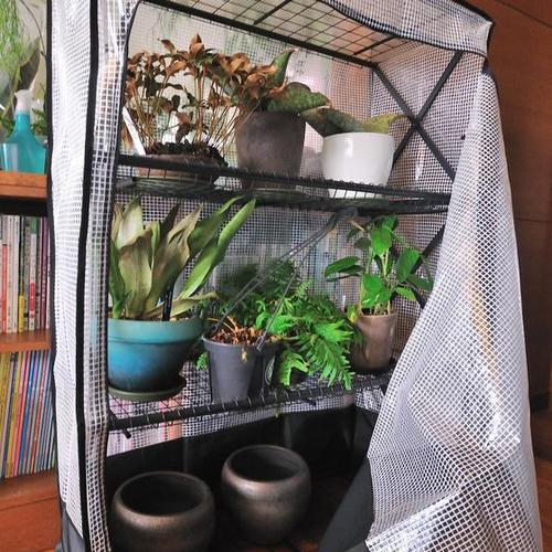「植物に優しいバルコニーラック（カバー付き・4段折りたたみ式）」を使ってみて