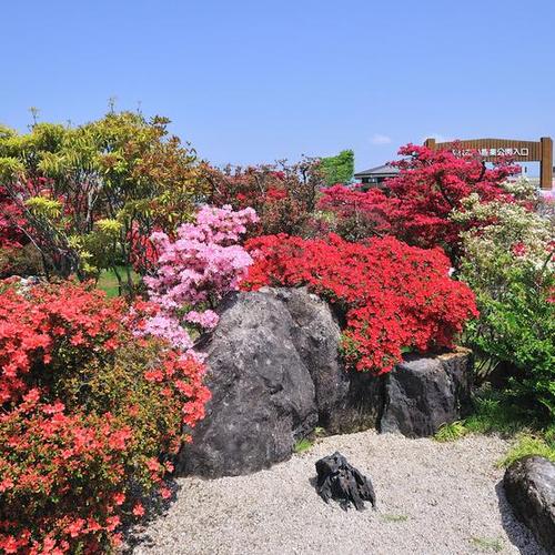 2025年春、ツツジの旅・その6（久留米市世界つつじセンター・前編／ガーデン編）