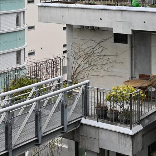 実験集合住宅・NEXT21のつるバラ誘引2026冬