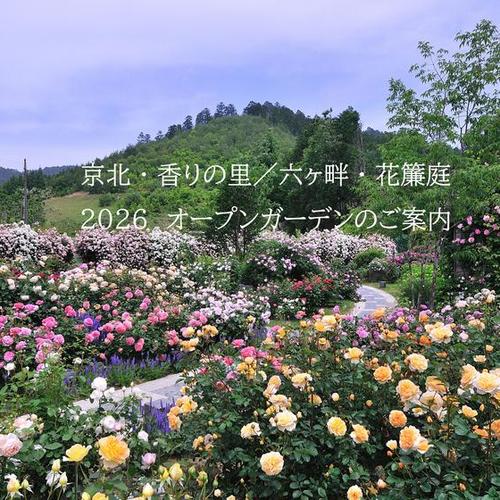 京北・香りの里／六ヶ畔・花簾庭（京北バラ園）2026年オープンガーデンのご案内