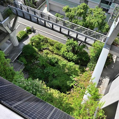 実験集合住宅・NEXT21、建物緑化の魅力