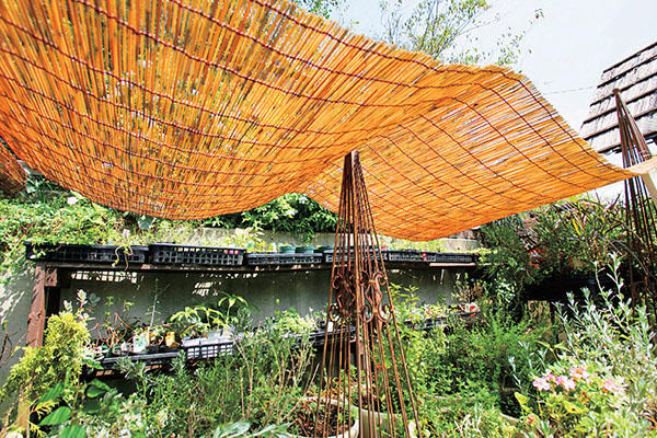 その他の管理 防寒 防暑 防風対策 家庭菜園 ベランダ菜園 プランター菜園 初心者の方必見 はじめての家庭菜園