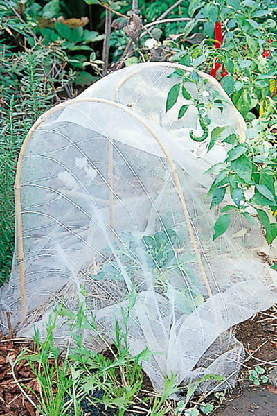 その他の管理 防寒 防暑 防風対策 家庭菜園 ベランダ菜園 プランター菜園 初心者の方必見 はじめての家庭菜園