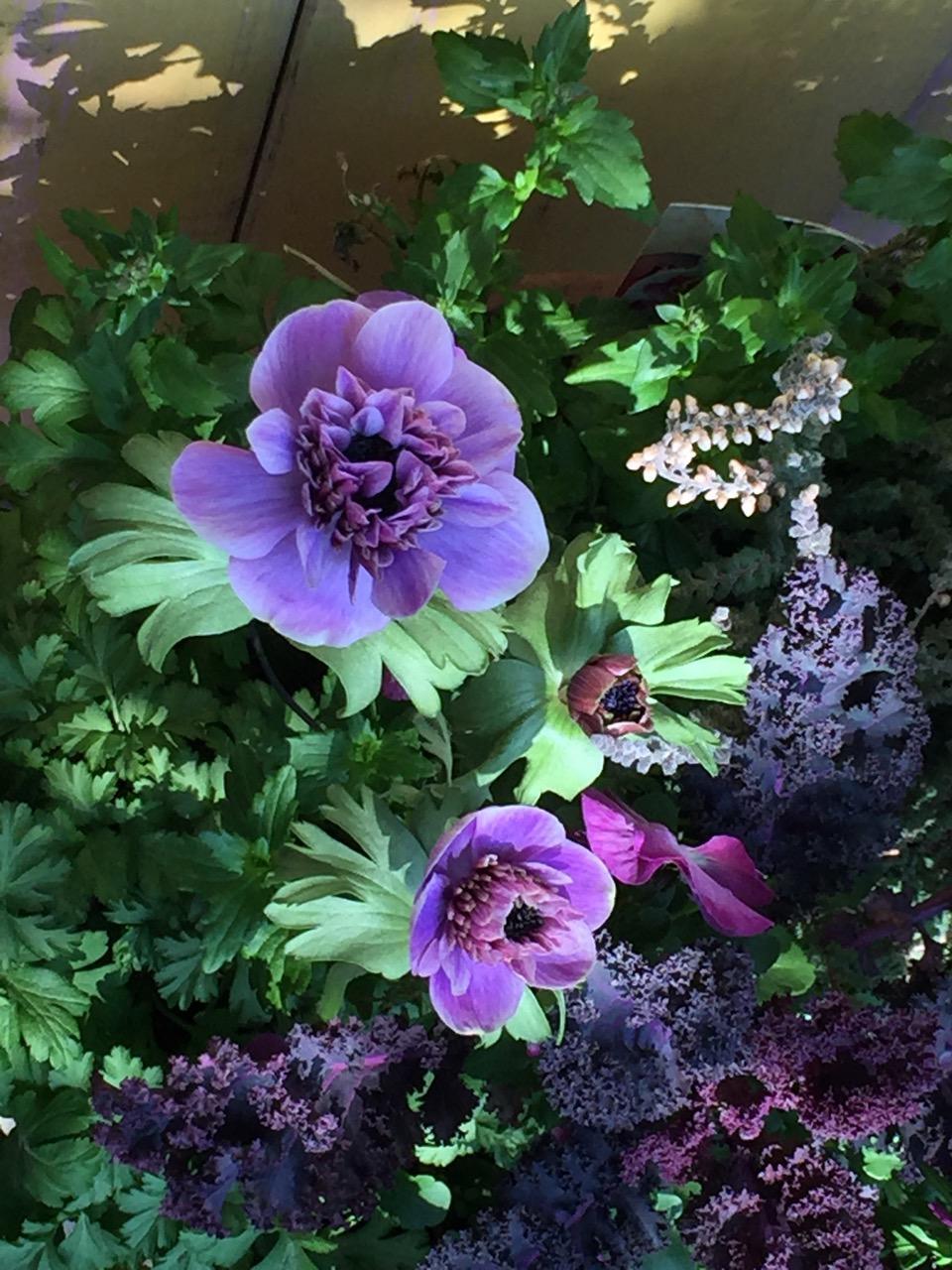 ついに3月 庭活動開始 吉谷桂子のガーデンダイアリー 花と緑と豊かに暮らすガーデニング手帖