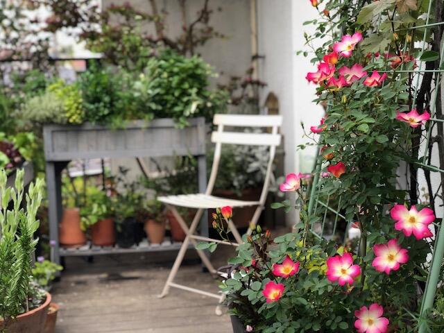 秋から始まるガーデニング計画 吉谷桂子のガーデンダイアリー 花と緑と豊かに暮らすガーデニング手帖