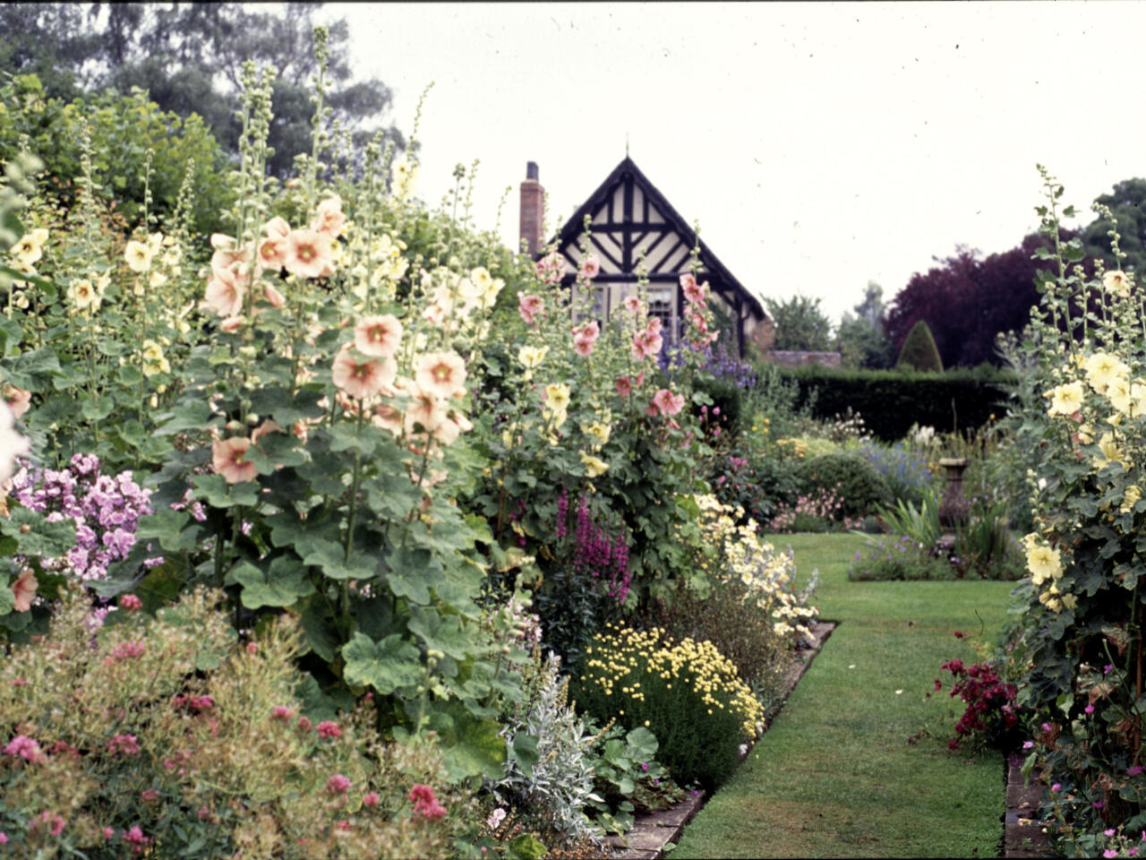 庭と建築 暮らしの見直し 吉谷桂子のガーデンダイアリー 花と緑と豊かに暮らすガーデニング手帖
