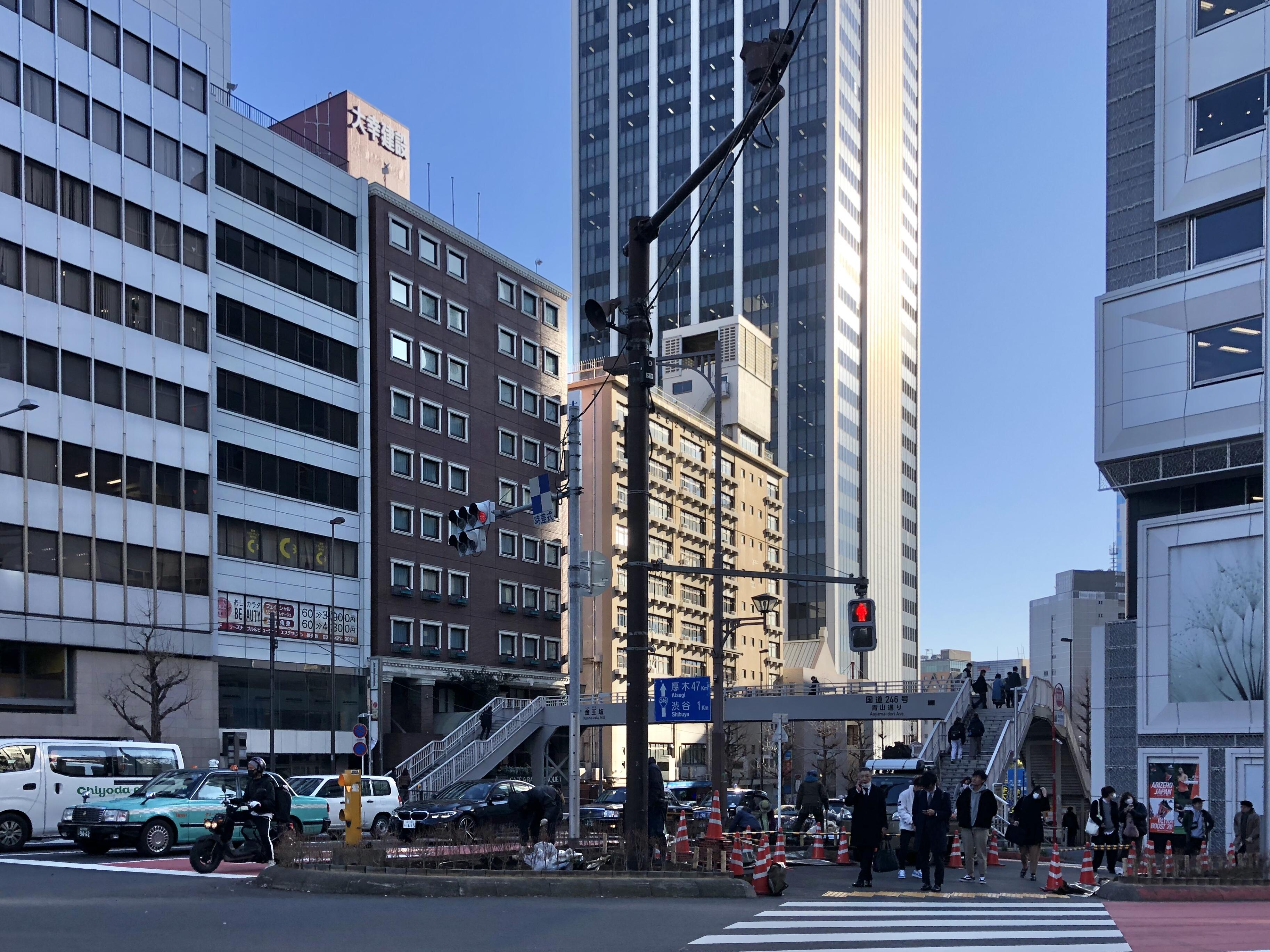 青山通り緑のおもてなし風景街道プロジェクト 吉谷桂子のガーデンダイアリー 花と緑と豊かに暮らすガーデニング手帖