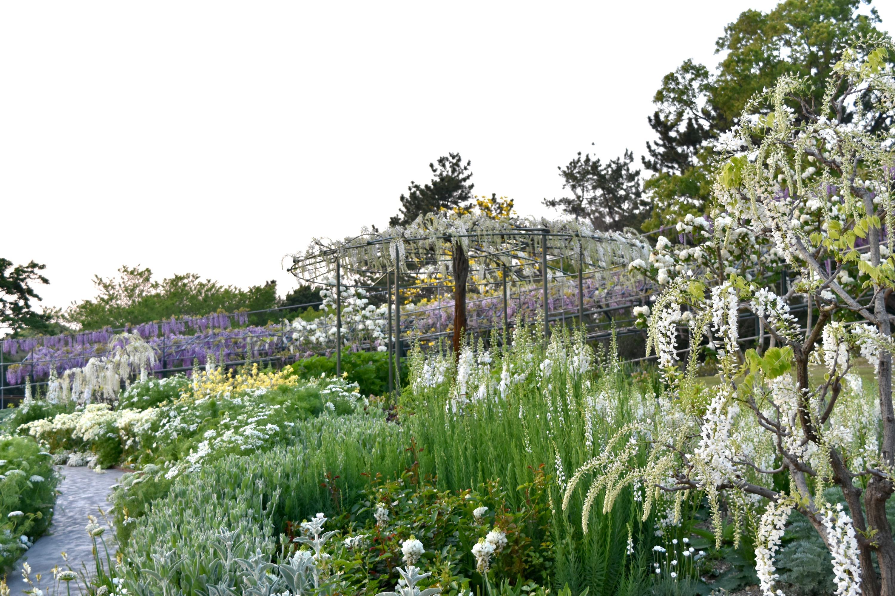 これから５月までの予定 吉谷桂子のガーデンダイアリー 花と緑と豊かに暮らすガーデニング手帖
