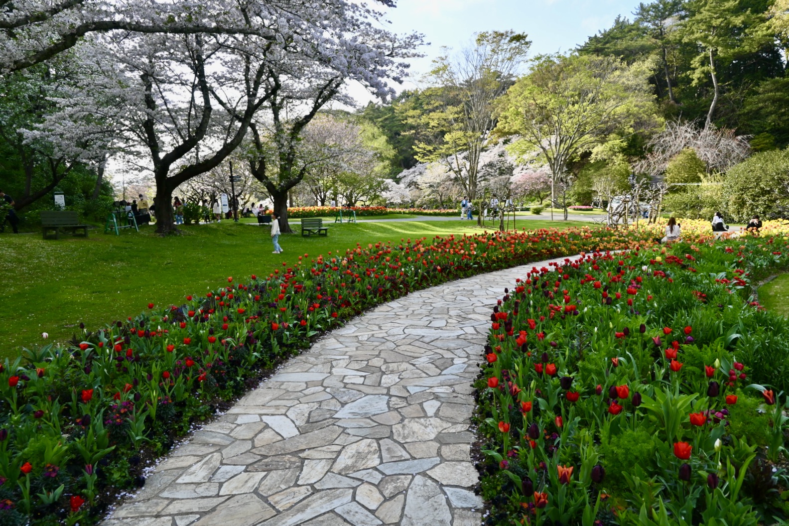 秋の植栽計画 - 吉谷桂子のガーデンダイアリー ～花と緑と豊かに暮らす