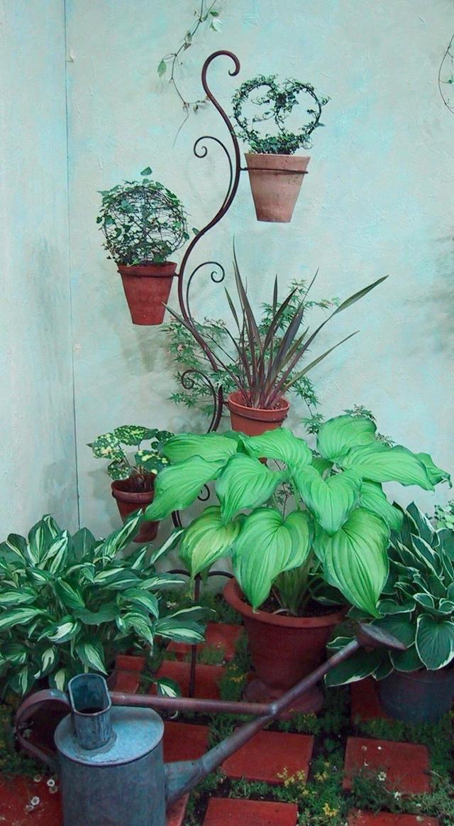 photo 10.jpg