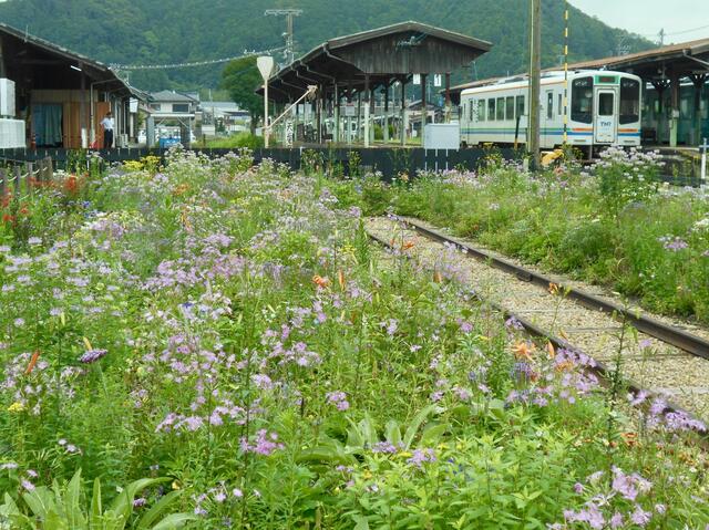 天竜二俣駅花壇㈫.jpg