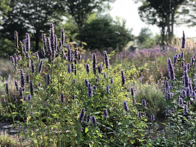 image7.jpeg
