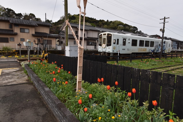 2023.03.27ホーム通路2.jpeg